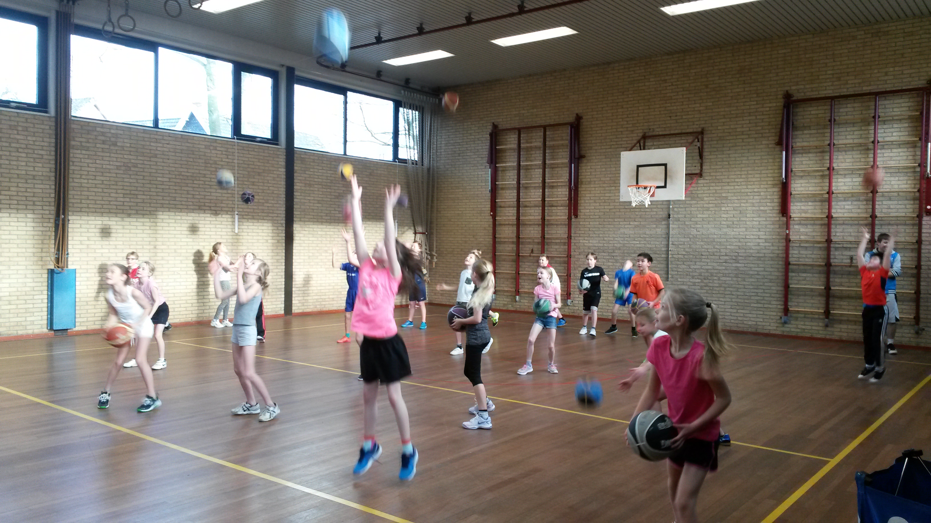 Info 22 januari 2016