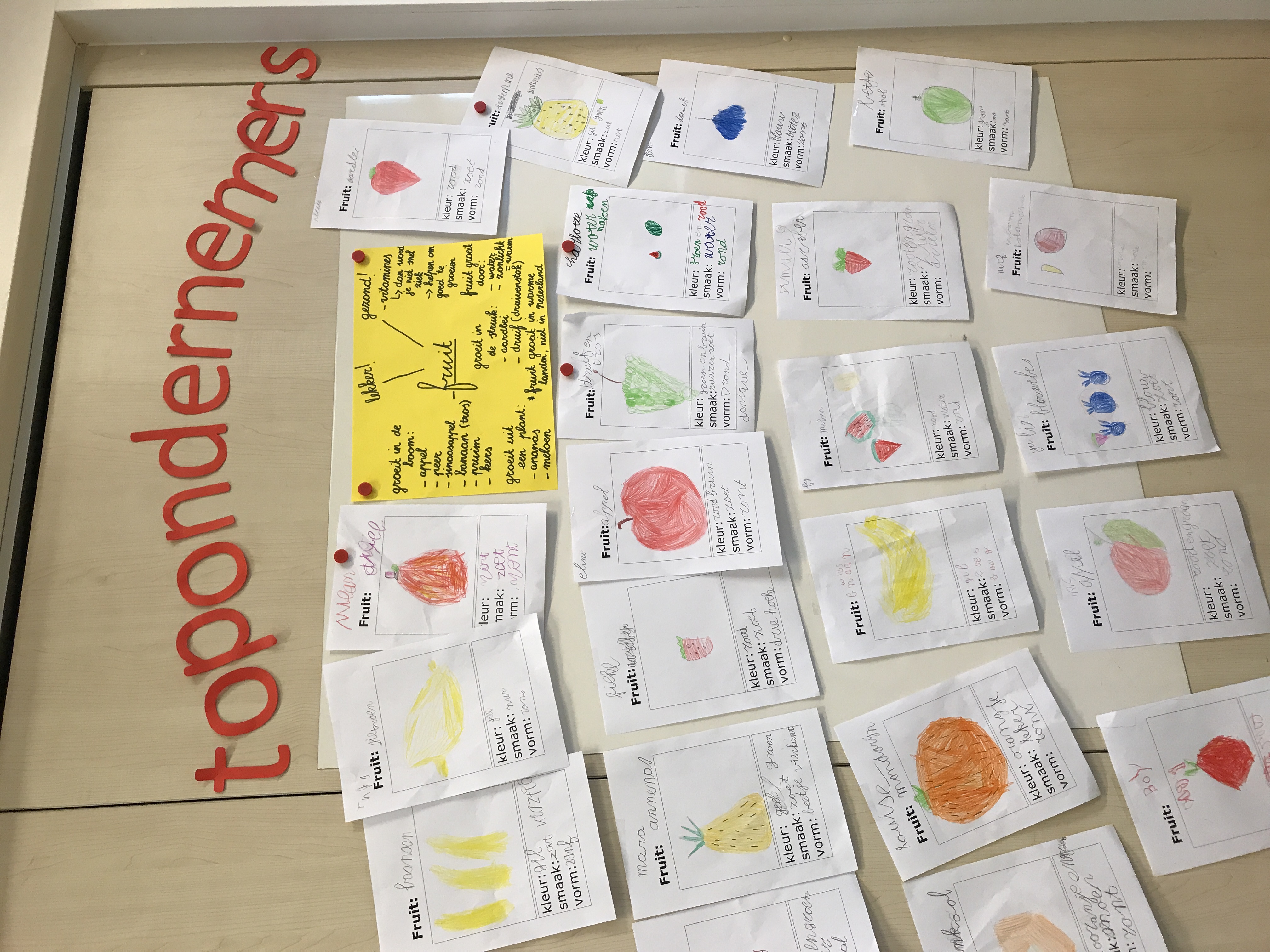 Groep 3: onderzoekend leren