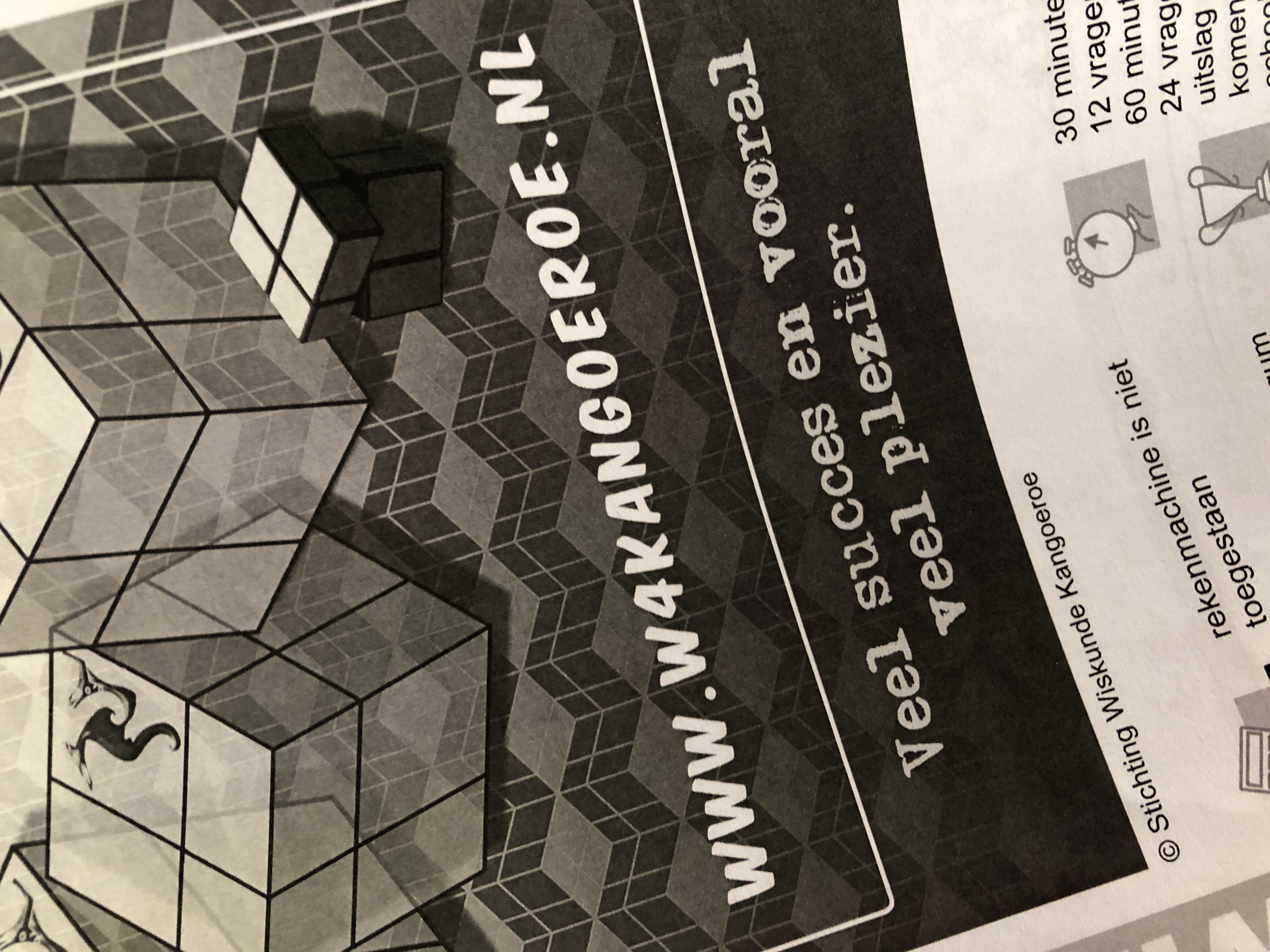 Kangoeroewedstrijd 2019