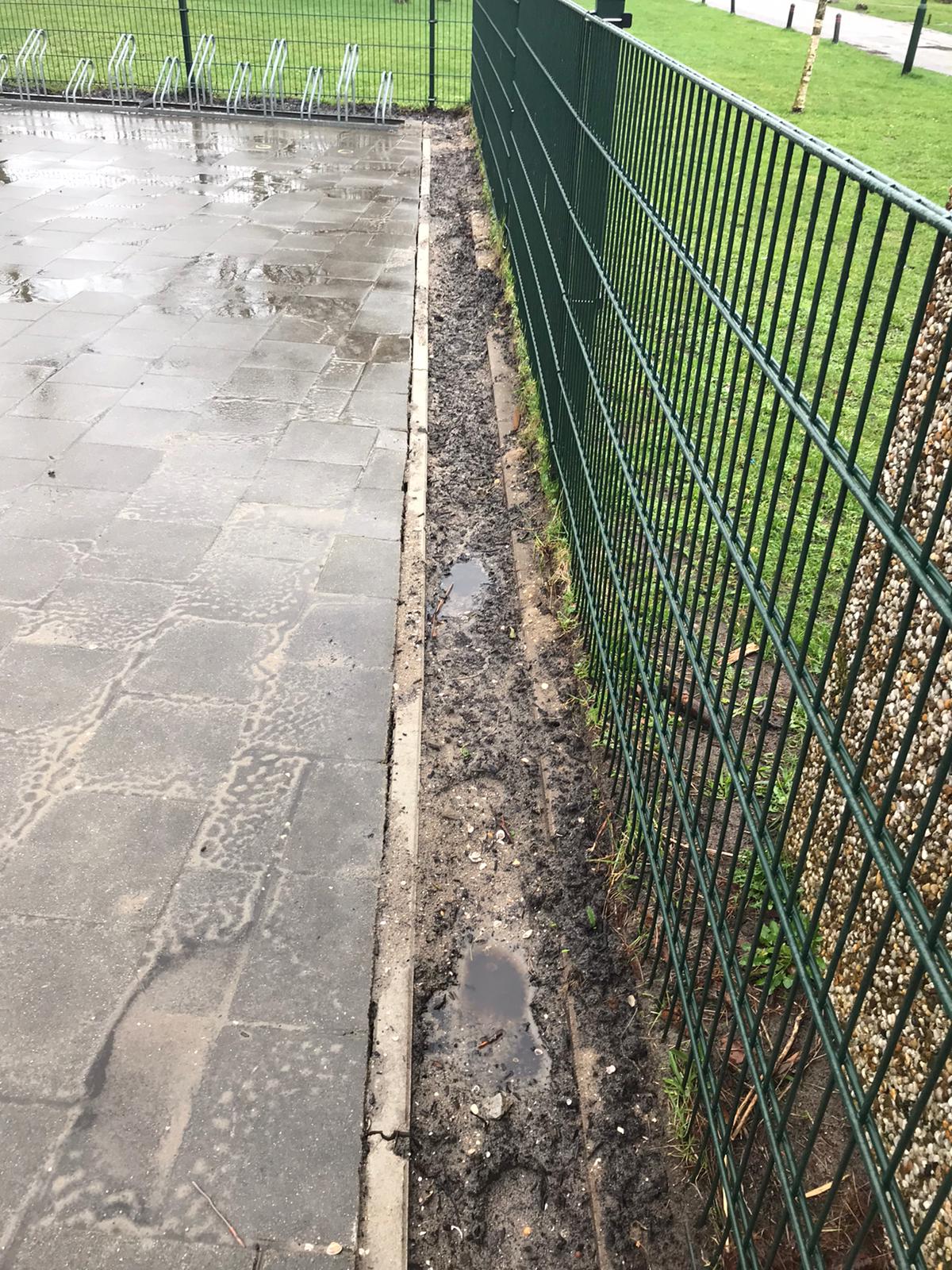 Planten op het kleuterschoolplein