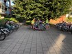 Fietshulpen Roos en Bastiaan