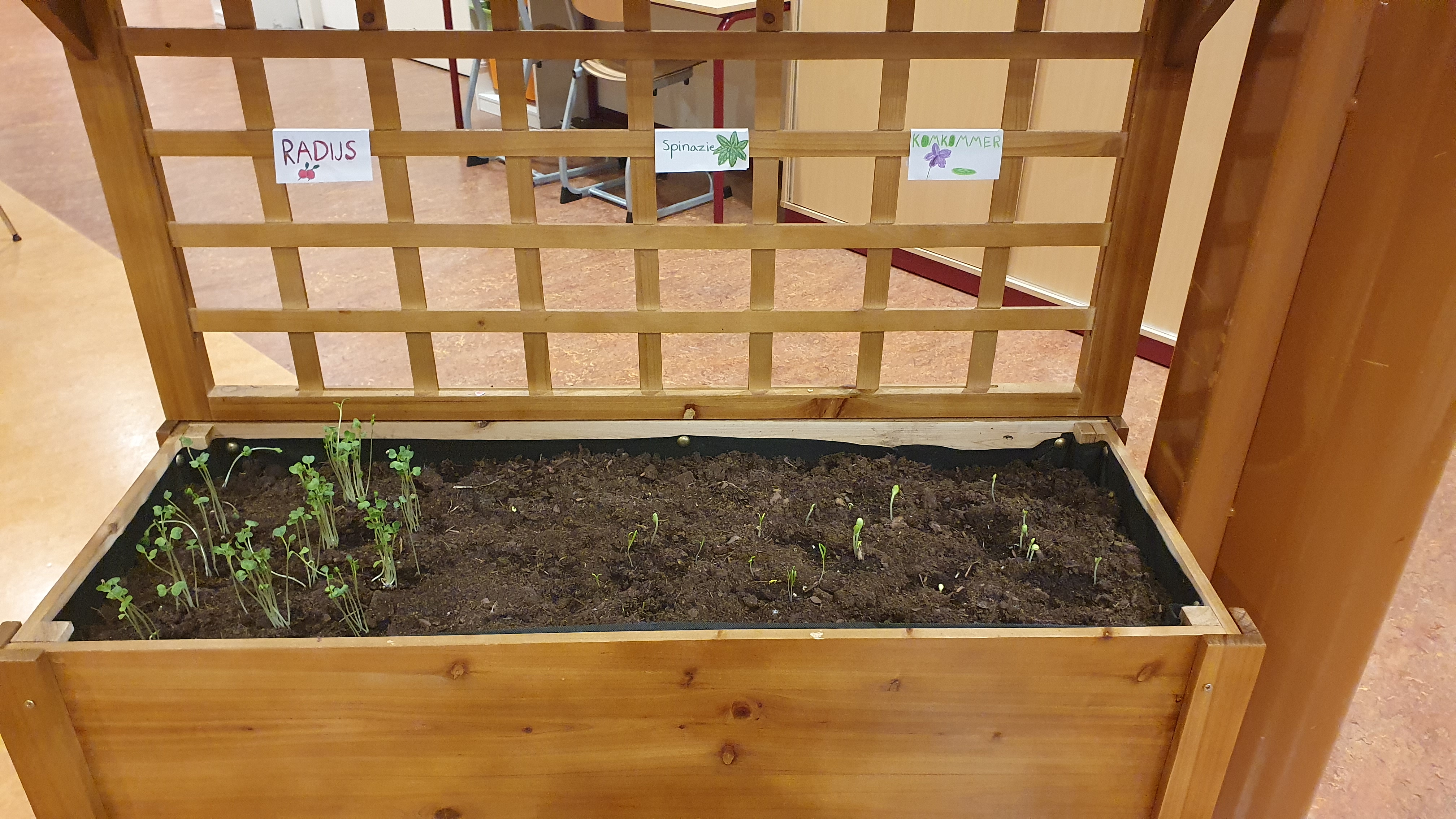 'Aangehaald'(vrijdag 20 september 2024)